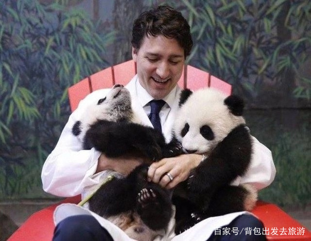 法國一家人氣慘淡的動物園，但卻被一只中國熊貓，創下人氣最高峰 旅行 第4張