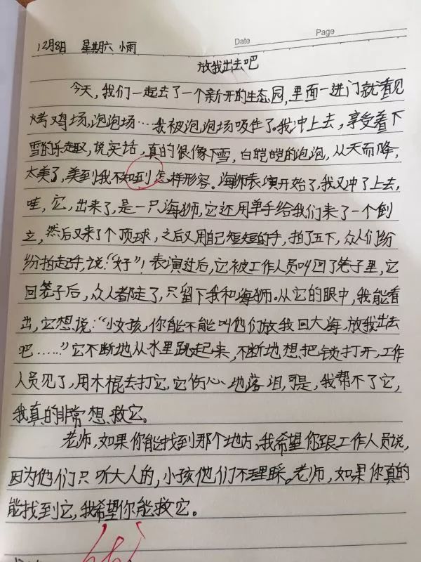 海狮简谱_海狮卡通图片(2)