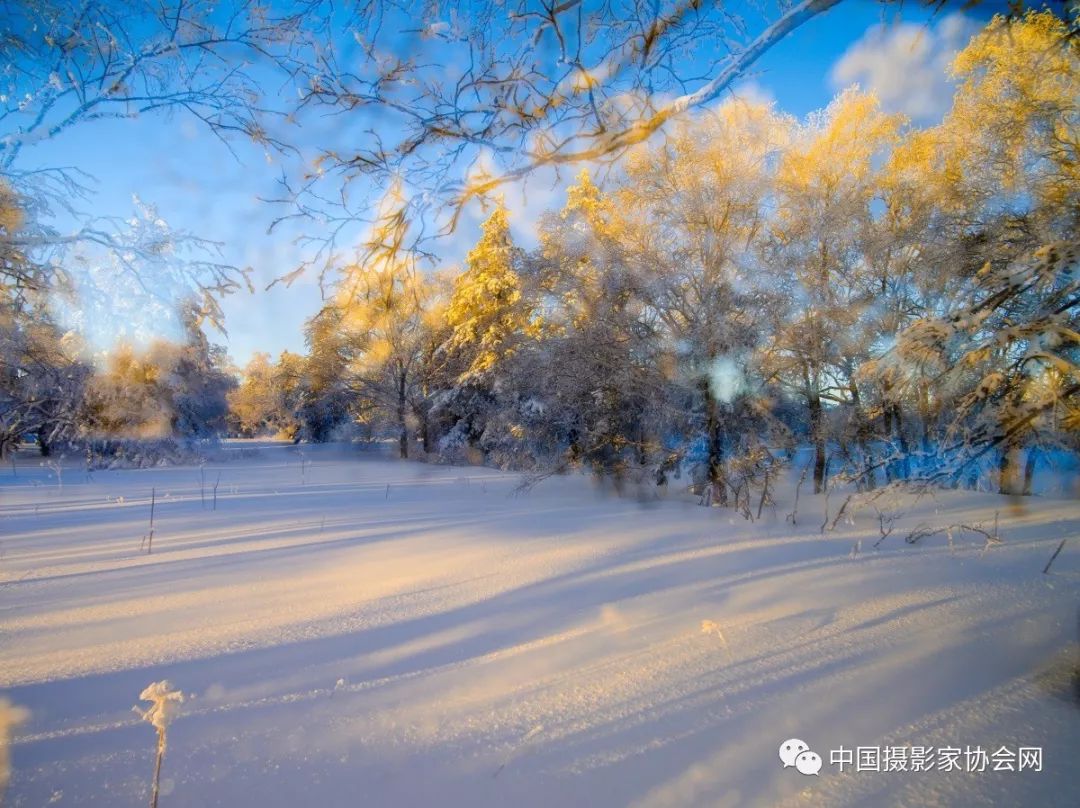 黑龙江摄协冰雪摄影的审美意象