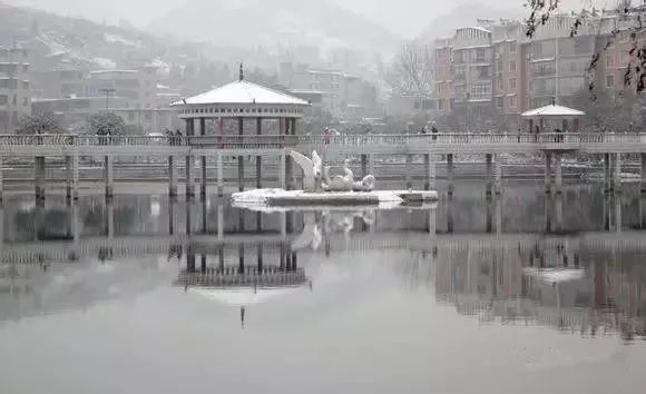 记忆中的六枝桃花公园