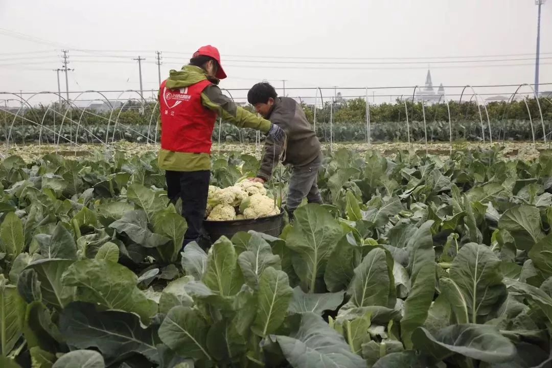 象山定塘人口_象山晓塘