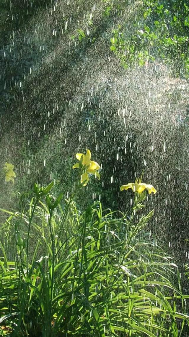 雨天壁纸,冬天的你想念夏天吗