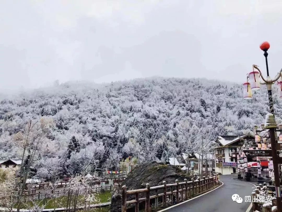 神木垒的冬天美得惊心动魄,每到冬天,这里的美恍若隔世,因此吸引了