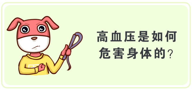 爸媽有高血壓？請收下這波科普，關鍵時候能救命！ 未分類 第22張