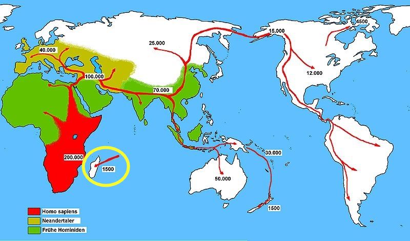 马达加斯加人口_马达加斯加蝗灾肆虐