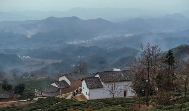 普古乍村多少人口_古法15酱香价格是多少