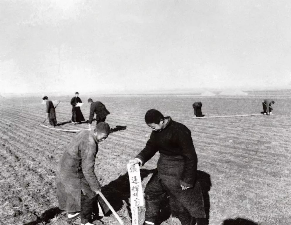 1951 年,中国基本完成了土地改革任务.图为山东历城县农民在丈量土地.