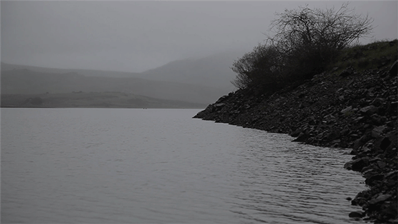 湖泊杀人事件：安徽祁门县“二氧化碳湖