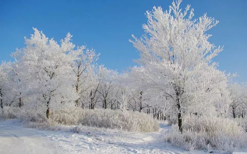 冰天雪地简谱_冰天雪地图片(3)