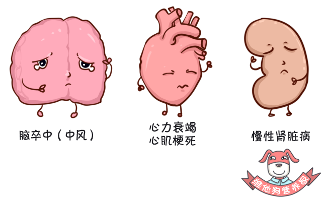 爸媽有高血壓？請收下這波科普，關鍵時候能救命！ 未分類 第5張