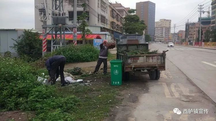 西胪内輋村人口_西胪内輋村女人图片