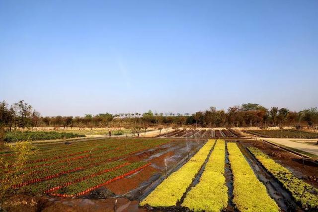 信阳平桥彭家湾乡人口_信阳彭家湾植物园名称