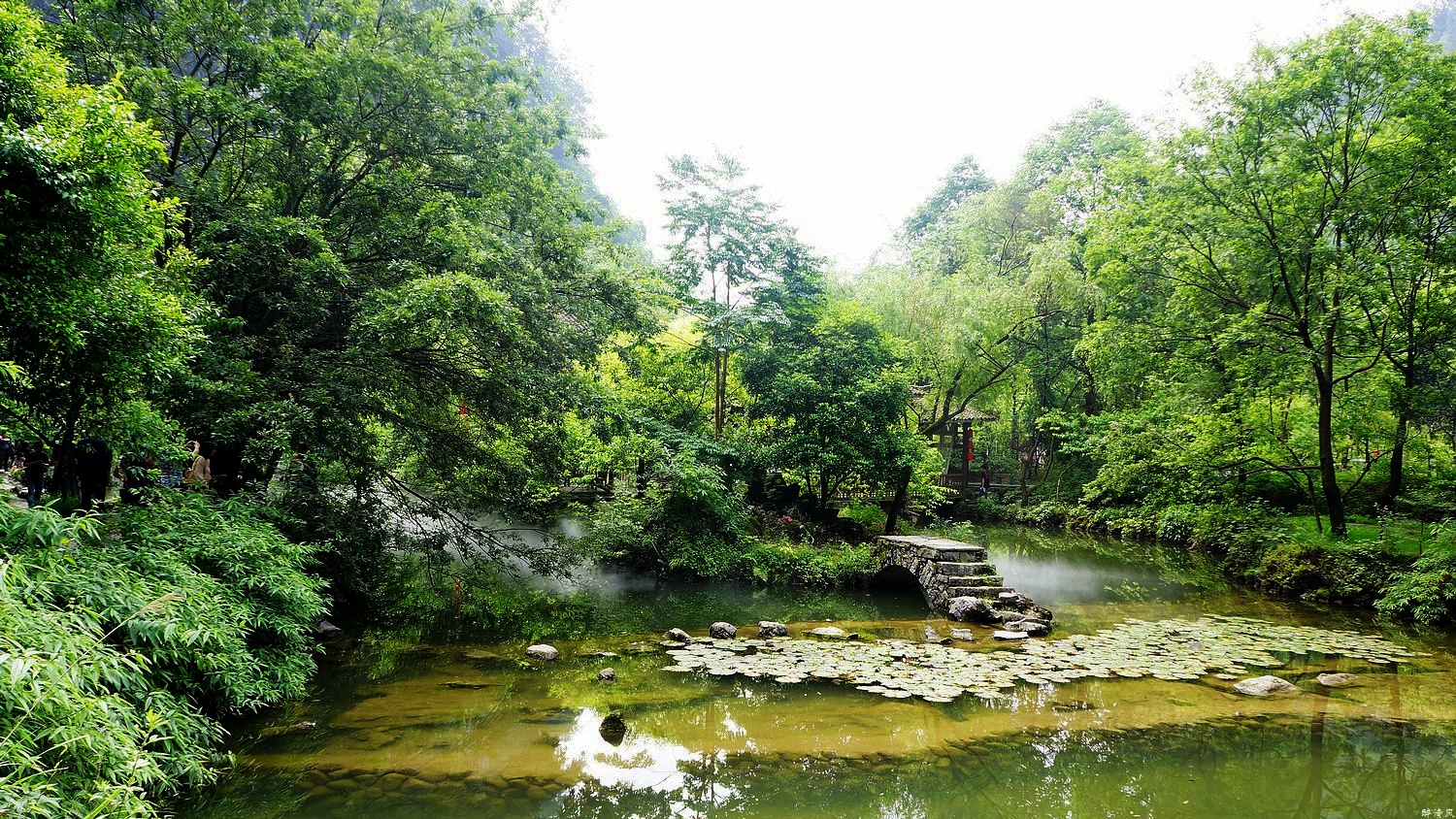 酉阳招聘_招聘丨酉阳消防救援大队招录财务岗位文员