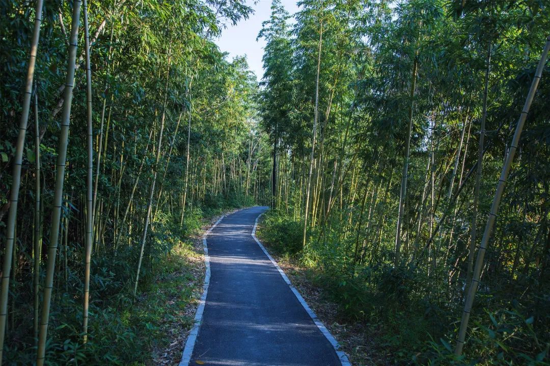 竹林景区联系人:陈先生 18408296022地址:嘉兴市南湖区新丰镇竹林村