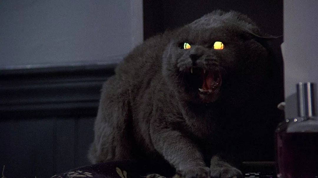 Pet Sematary Bloodlines Ending Explained: A Comprehensive Analysis of the Twists and Turns in the Conclusion