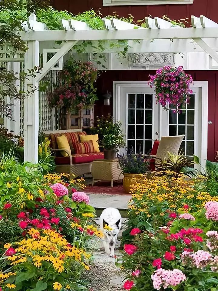 我和你的家,园中开满花……_院子