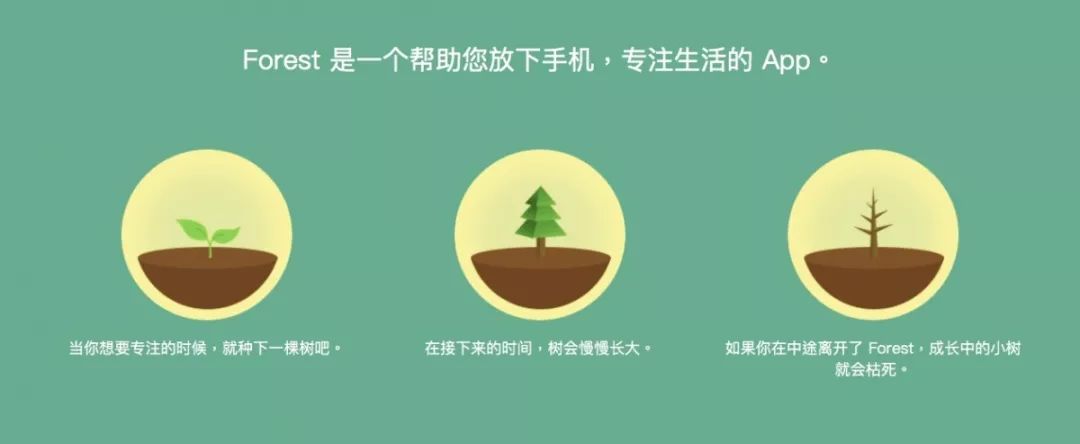 的控制之下 大家都能离开手机 去做一些更有意义的事 forest专注森林