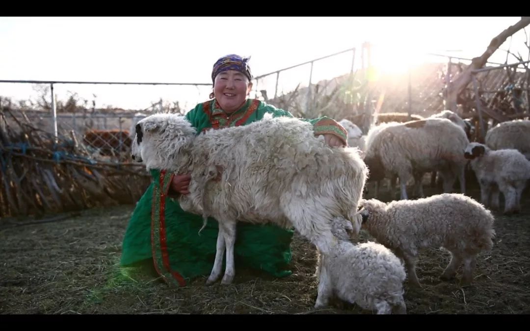 李美怡草原上的蒙古阿爸丨2018徐肖冰杯中国大学生摄影双年展