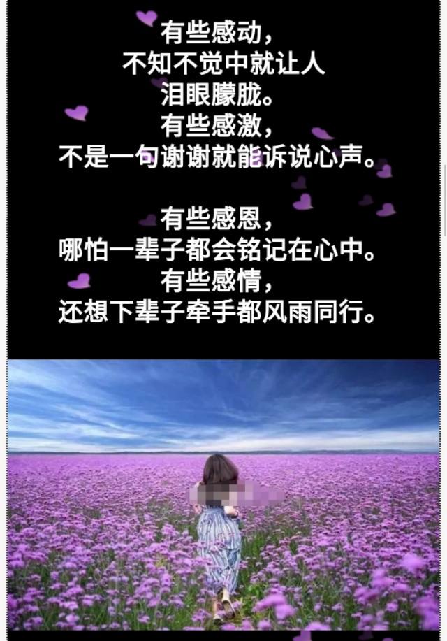 想着你亲爱的的简谱_亲爱的你在哪里简谱