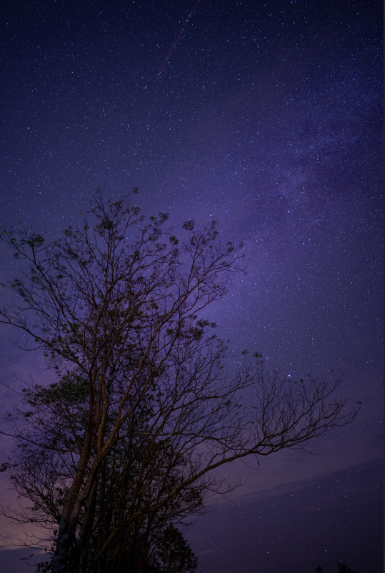 你见过婺源这么奇幻的"星空之夜"吗?