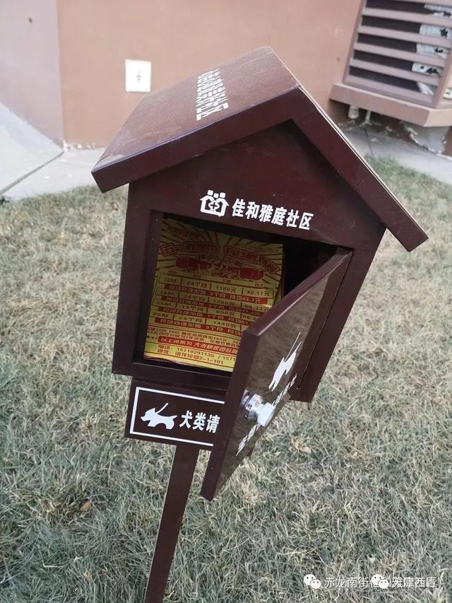 赤龙南街社区宠物便便箱,倡导文明养犬