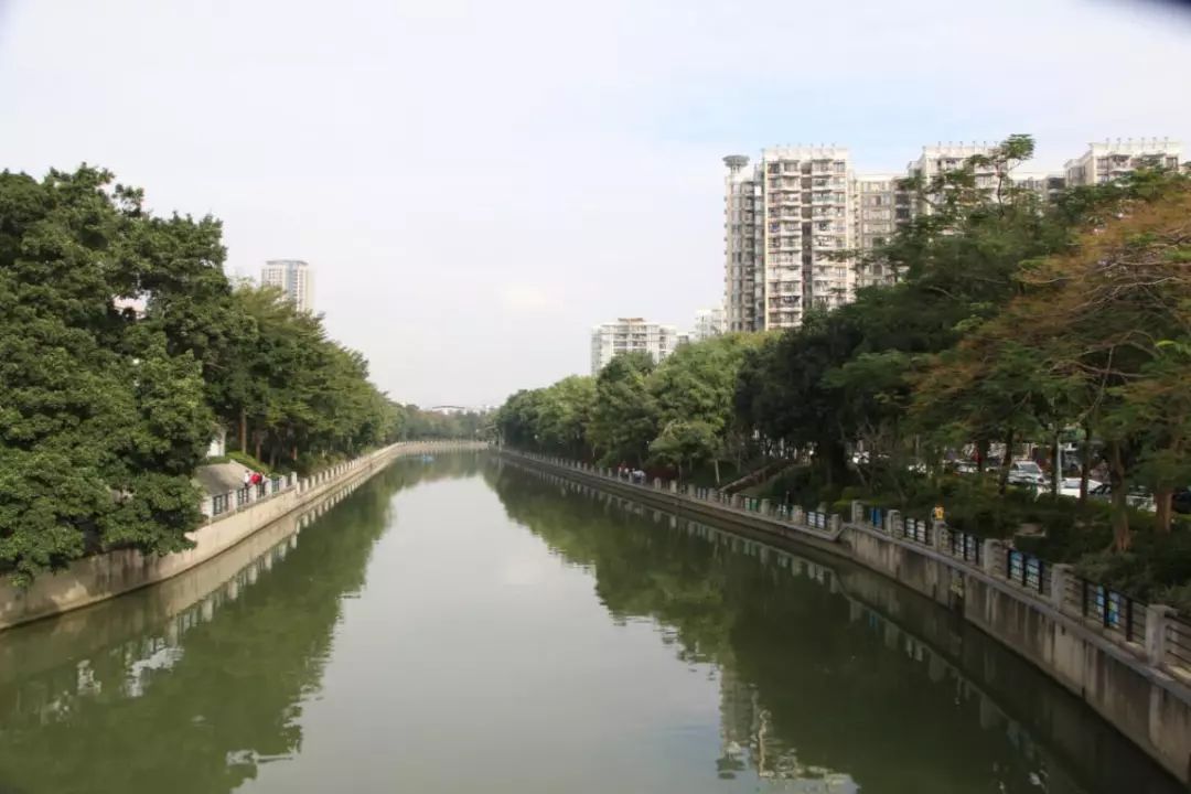 阳光树荫花香车陂涌边多了这么多绿道