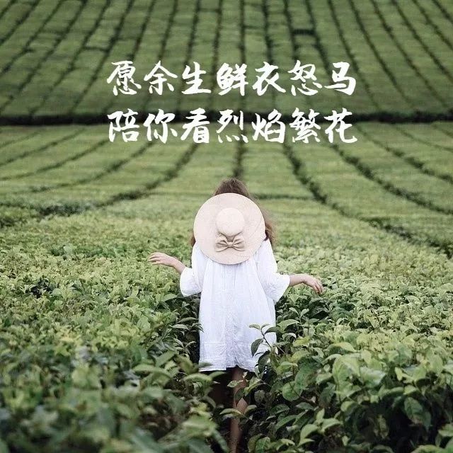 愿余生鲜衣怒马,陪你看烈焰繁花