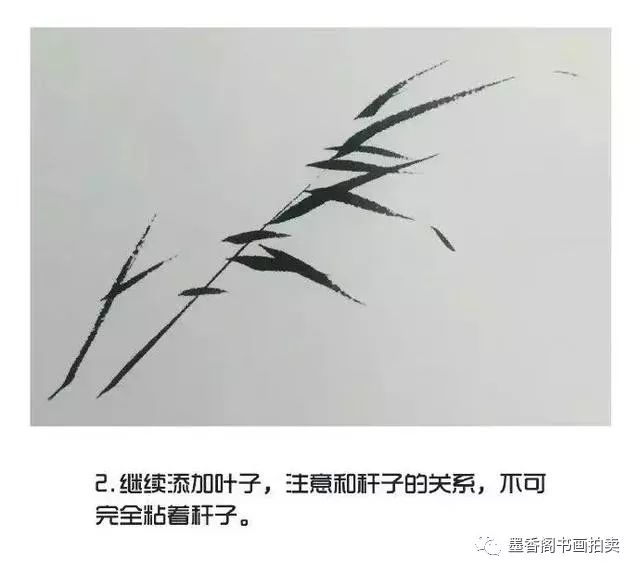 国画入门教程写意芦苇的画法