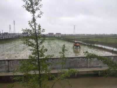 广东历史人口发展迁移的书_广东外地人口占比(2)