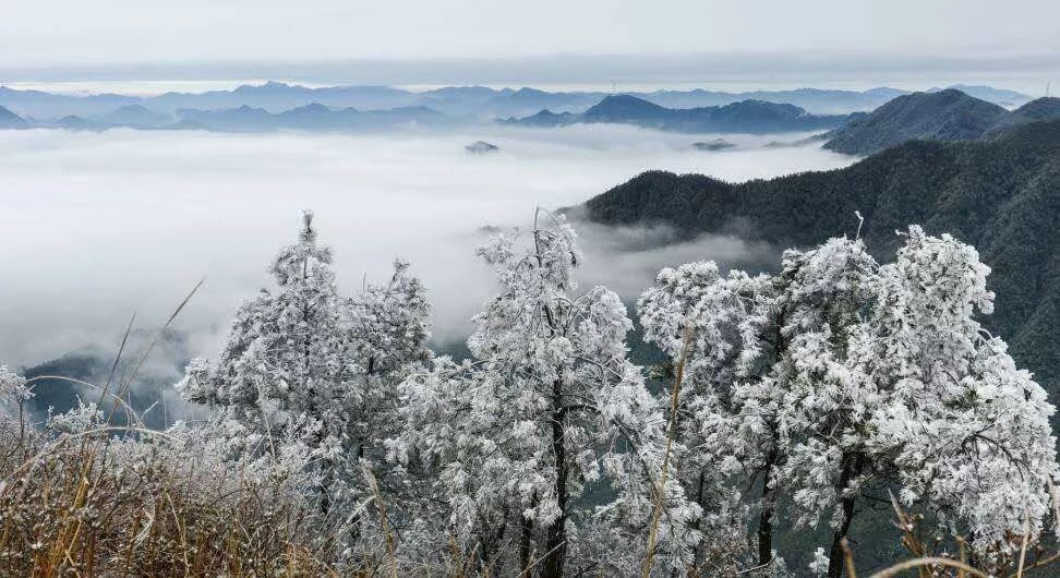 冷空气终于安排上了!本周末宁德山区或能赏到初雪哟