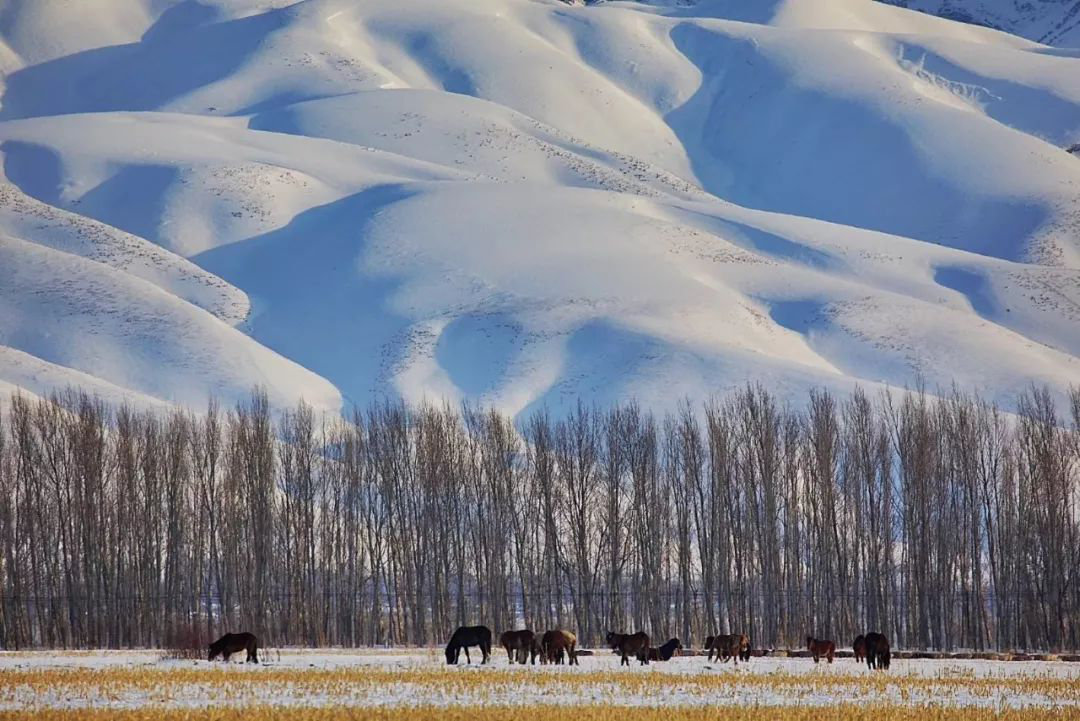 冬牧场我在体验什么