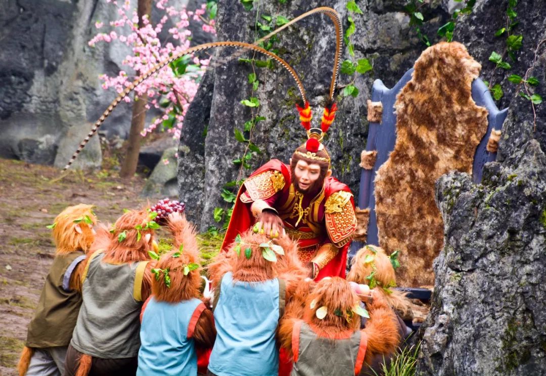 在新宁县万塘乡茶田村石林丛中,"孙悟空"与猴子猴孙们正在上演"花果山