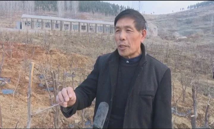 兰陵尚岩镇这书记"十年如一日"心系群众