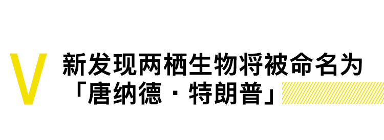 辱華說唱歌手視頻致歉，兩棲生物被命名為川普｜直男Daily 娛樂 第8張