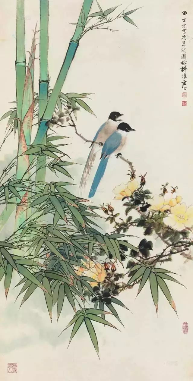 花鸟画成这样,又怎能不让人爱!_田世光