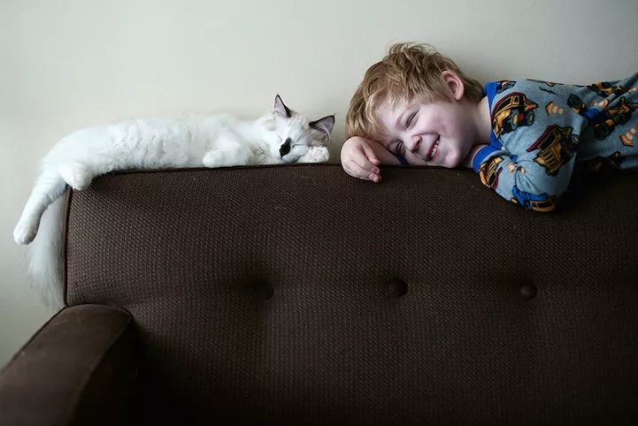 妈妈用照片记录：她的两只猫和三个儿子，在一起的友爱画面