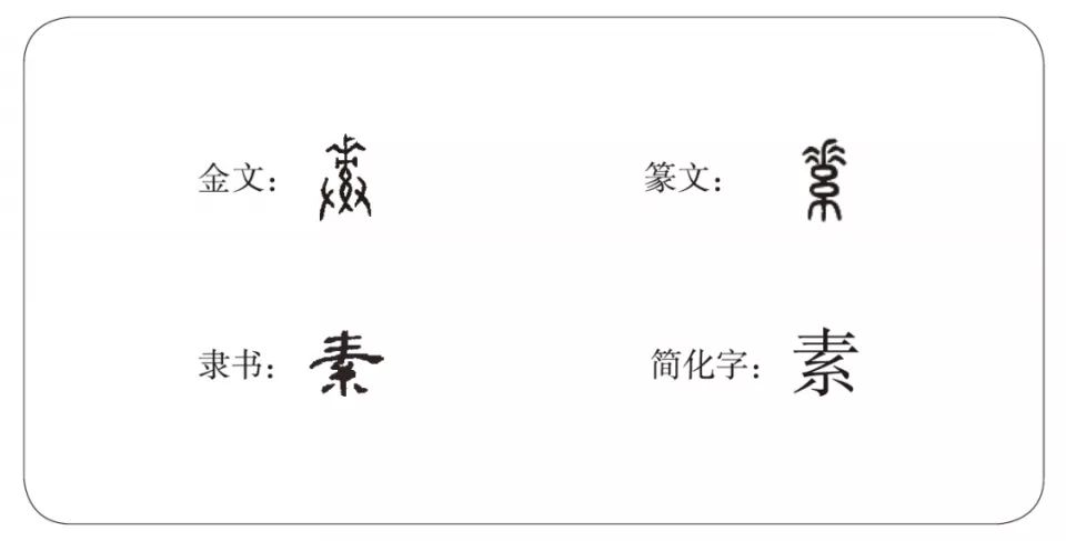 "素"字的字形演变