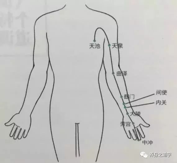 【经络定位】:心包经的走向是起于胸中,从心脏出发,经过腋窝,沿手臂