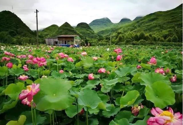 灌阳观音阁乡一角 据介绍,2005年,自治区党委作出建设生态广西的重大