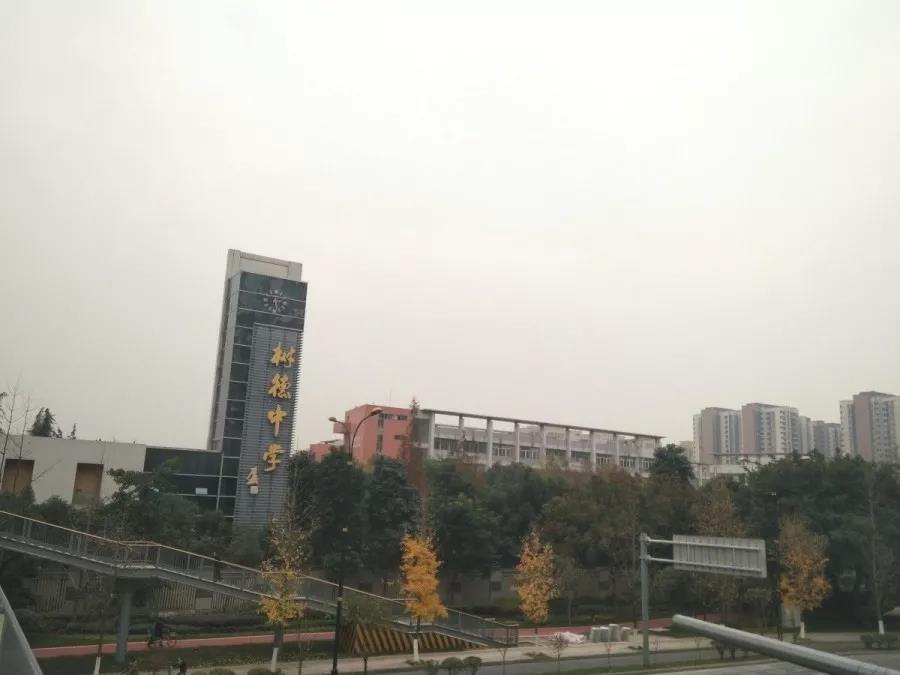 基本都是公立学校, 树德中学(光华校区)就在项目旁,仅一街之隔.