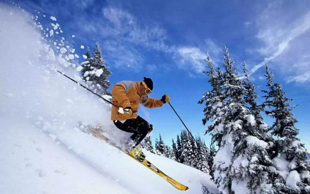 你在这里有到异国度假的体验 冬日 可以体验滑雪场,滑冰,冰球 还可以