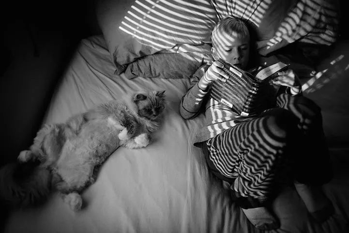 妈妈用照片记录：她的两只猫和三个儿子，在一起的友爱画面