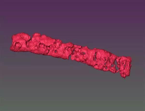 3D列印多孔組織用於醫學研究，可為細胞提供營養 科技 第1張