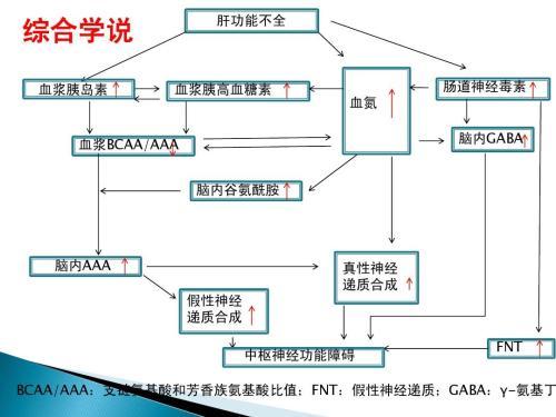 肝纖維化和慢乙肝治療分析！ 健康 第2張