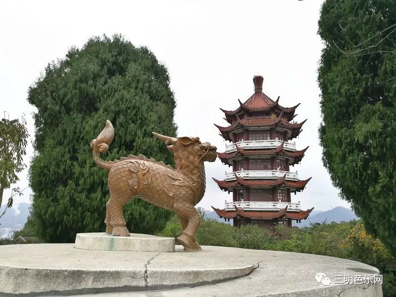 三明人是否忘记了她,如今是这样的…_麒麟山