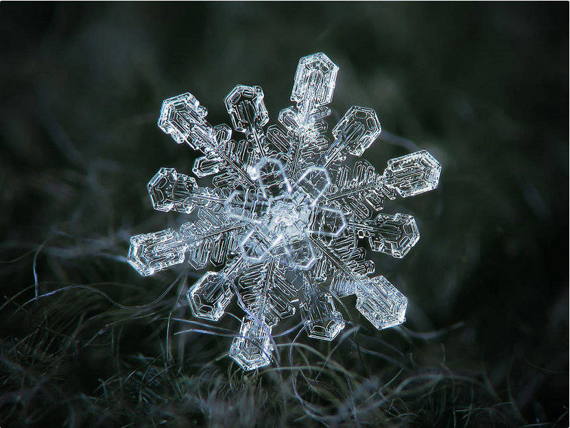 雪花的真面目