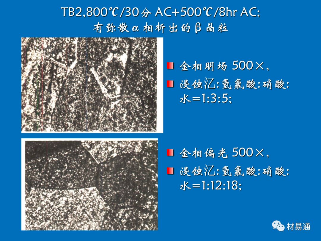 课堂钛及钛合金典型组织