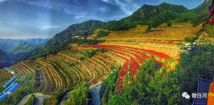 宋家中心卫生院旧貌 天宝梯彩农园  狮子山新城全景  环境优美的茅坪