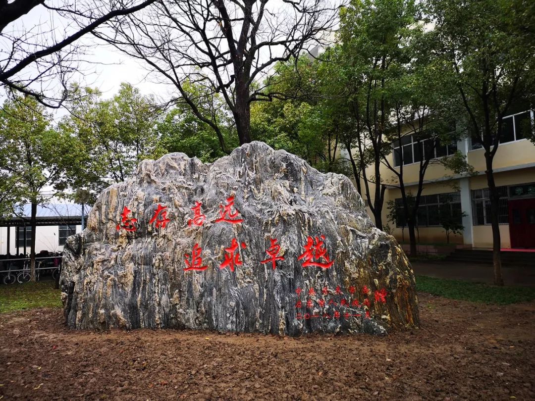 免费上启东中学还有诺贝尔班又一所学校招生信息公布