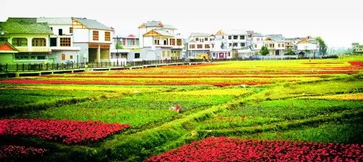 惠水好花红村